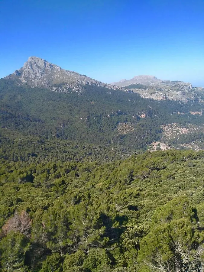 Sa Plana Petit Hotel Estellencs  España