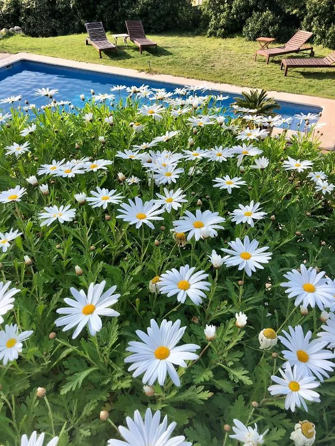 Sa Plana Petit Hotel Эстелленкс